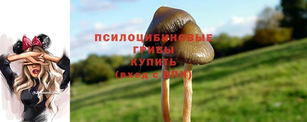 твердый Алексин
