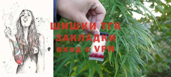 твердый Алексин