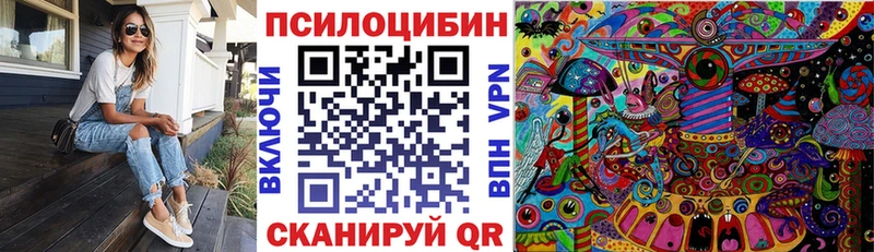 Псилоцибиновые грибы мицелий  Кашин 